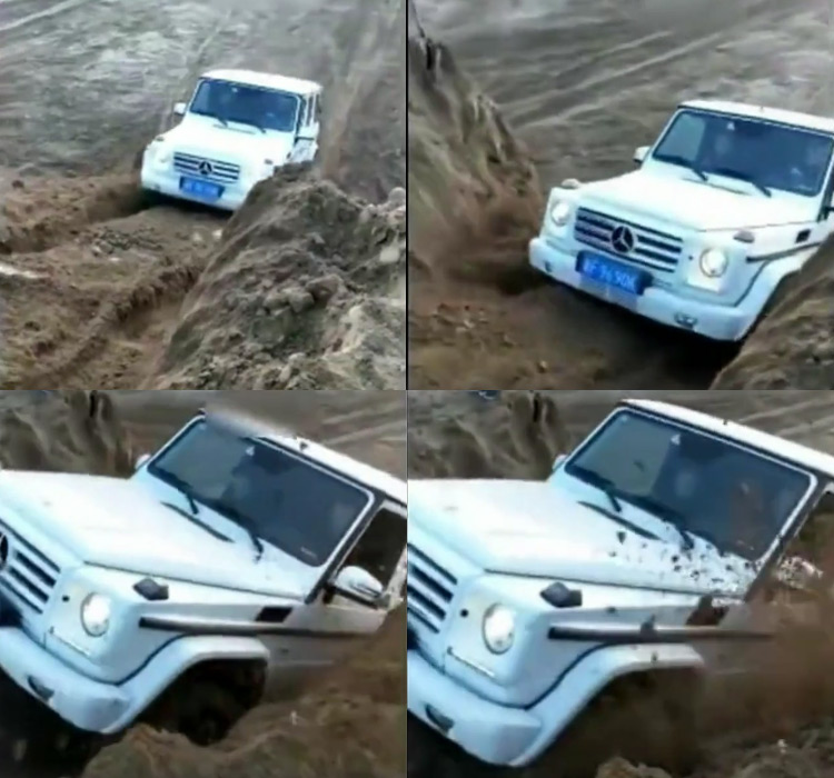 ���ⲻ����Ư�ƻ���ԽҰ������G��������