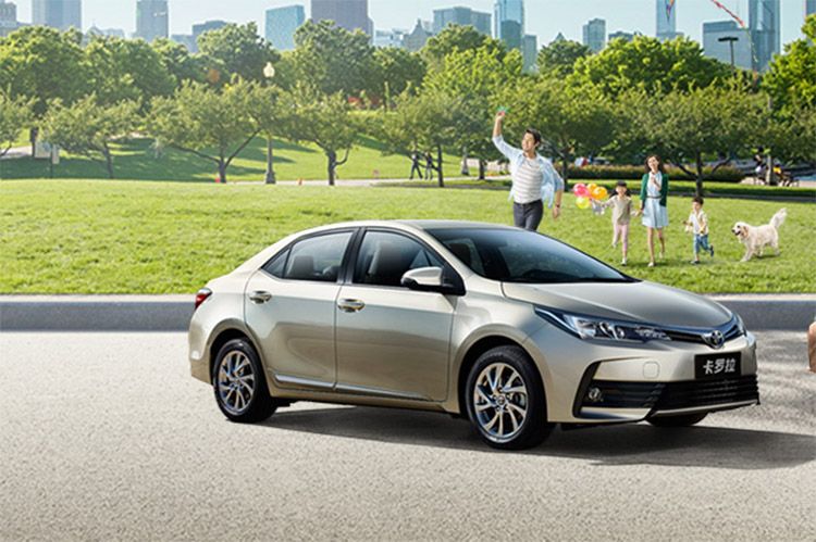 2017����������¯����ϵ���������Ӯ�ң�