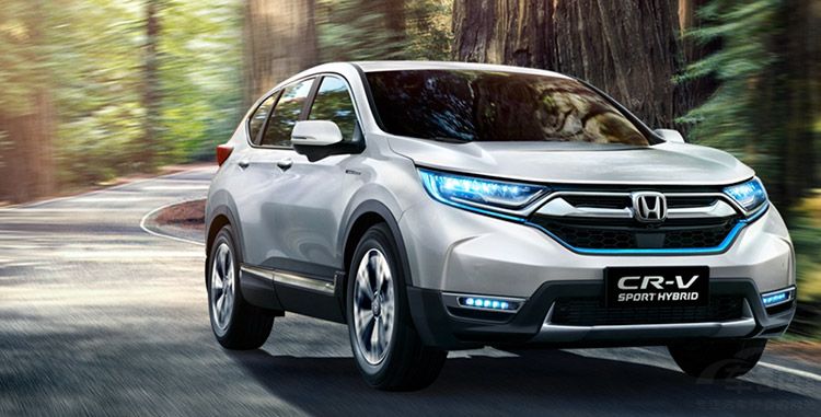 2017����������¯����ϵ���������Ӯ�ң�