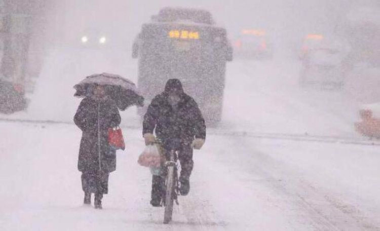 ��ѩϯ��23ʡ������������ѩ�Ĵ�ע������