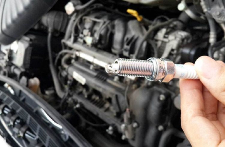 ���ϳ���������г� ������Щ����������