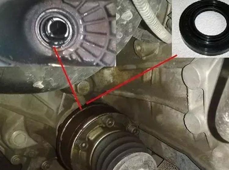 �����������⼸��&ldquo;����&rdquo;���� ���ë����