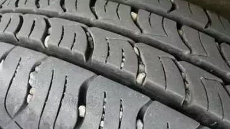 ������Щ����ÿ�춼�� ����ȴ�ܺ�������