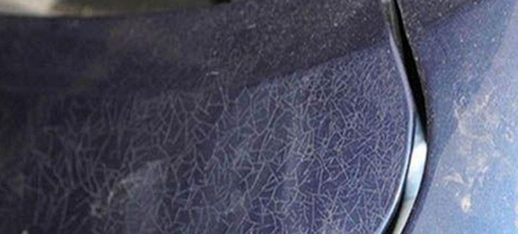 էů���� ��������������ע����Щ���