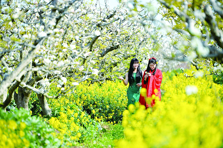 ����̤���иߵ�&ldquo;���ͼ&rdquo; �Ժ����ֶ����