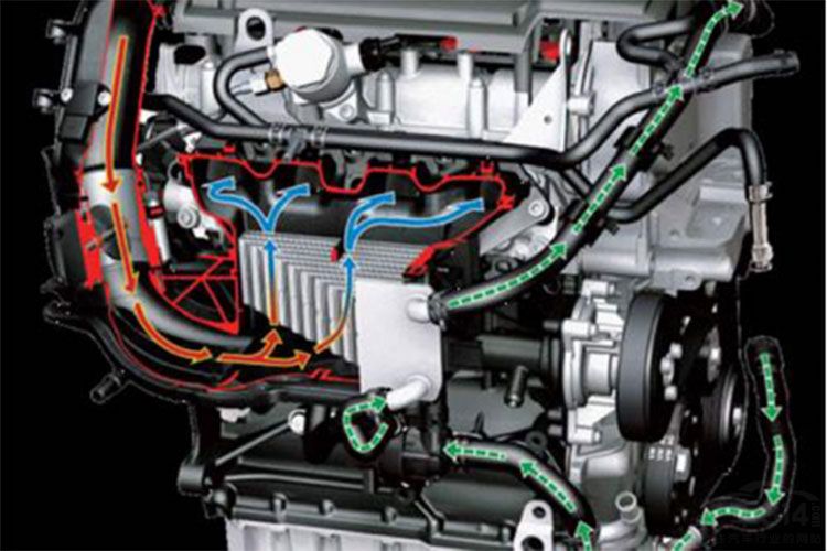 ����Һ��ɫ�к����𣿻��Σ�����׶��