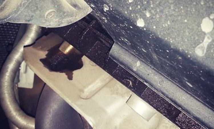 ���������©�ͳ�ͨ�� 3ϵ/5ϵ�׷����У�