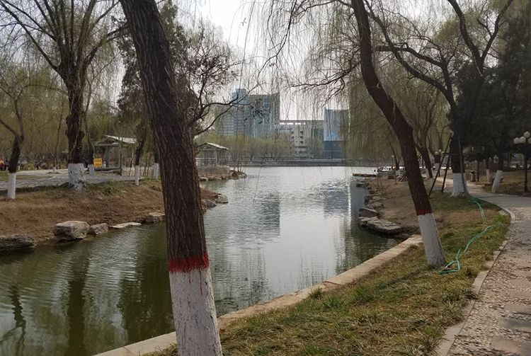 �ֵ��˶�ʱ���øߵ�����/�ܲ����������