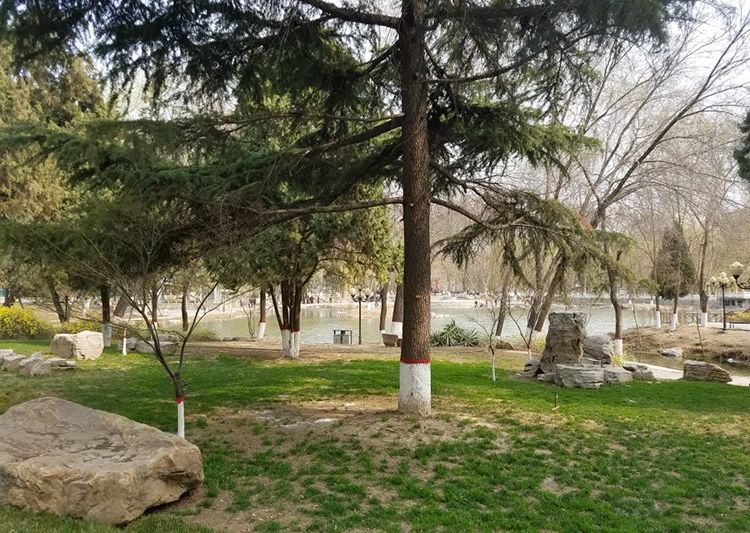 �ֵ��˶�ʱ���øߵ�����/�ܲ����������