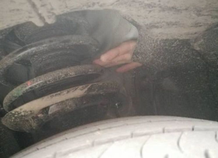 ��������ֳ����� �¿�������ǹͶ�߲���