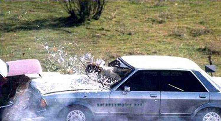 新车最不该入手的5样东西 看你车上有没?