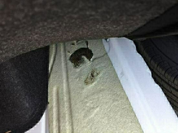 ����ȫ�������Ѿ����� ����ȴ��Ͷ�߲���