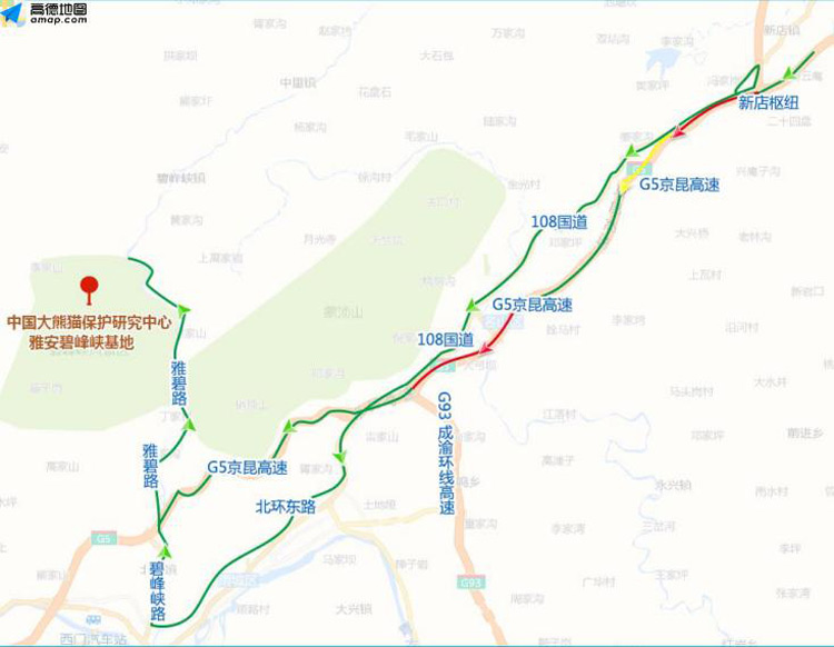 �����ɶ��д���è ����ȥ��Щ�ط�������