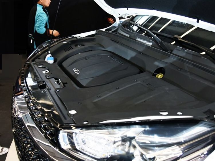 �����Լ����⣡��8ֻ����7��900��