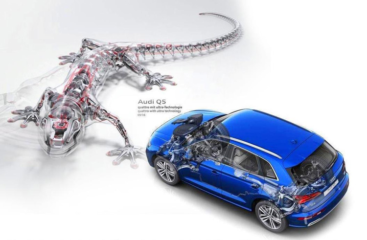 全新奥迪Q5L三大减配 连quattro都不要了