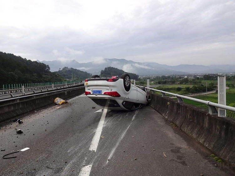 ���ٱ�̥����һ���������������ı���ʷ