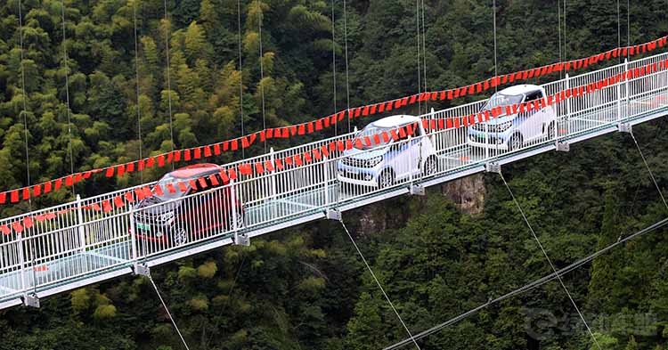 1534833860894716.jpg ͼƬ11.jpg