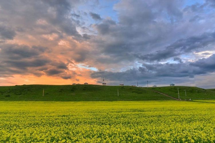 ����16�� �ߵ£�ʮ�������Լ�·��������