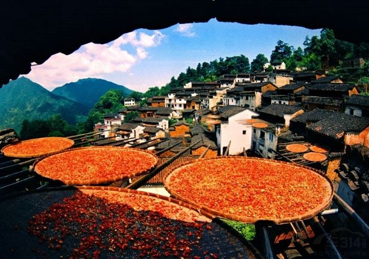 ����16�� �ߵ£�ʮ�������Լ�·��������