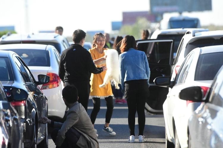 ʮһ�ߵ��û��ݳ���������̳�135�ڹ��� 