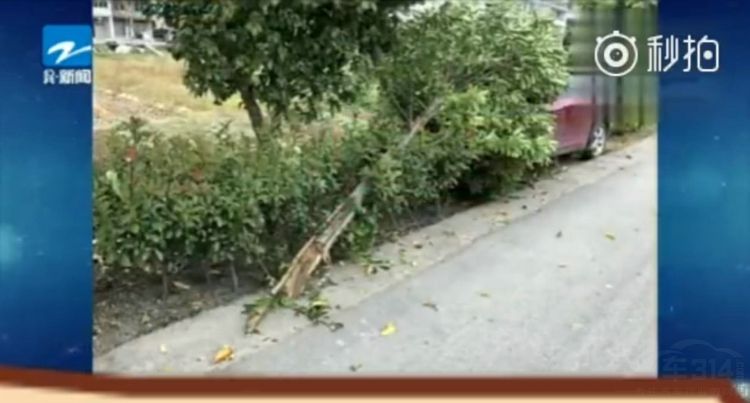 2018��ţŮ˾�����������Ǹ������͸ҿ�