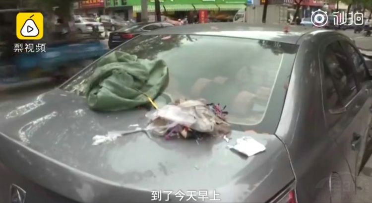 2018��ţŮ˾�����������Ǹ������͸ҿ�