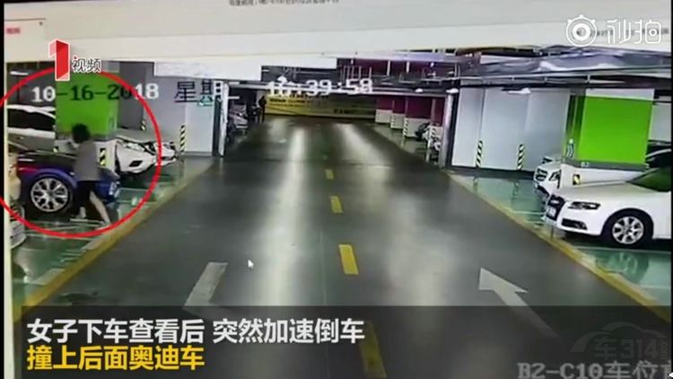 2018��ţŮ˾�����������Ǹ������͸ҿ�