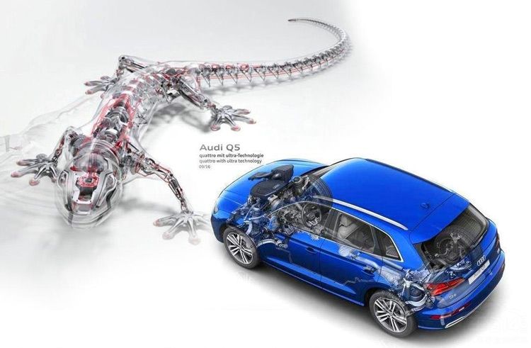 全新奥迪Q5L已战败了?10月仅售6182台 全新奥迪Q5L已战败了?10月仅售6182台