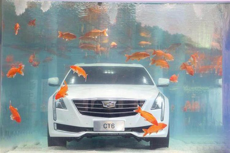 �����ԾȵĿ�������CT6 ��ǰ���˶��ٴ���