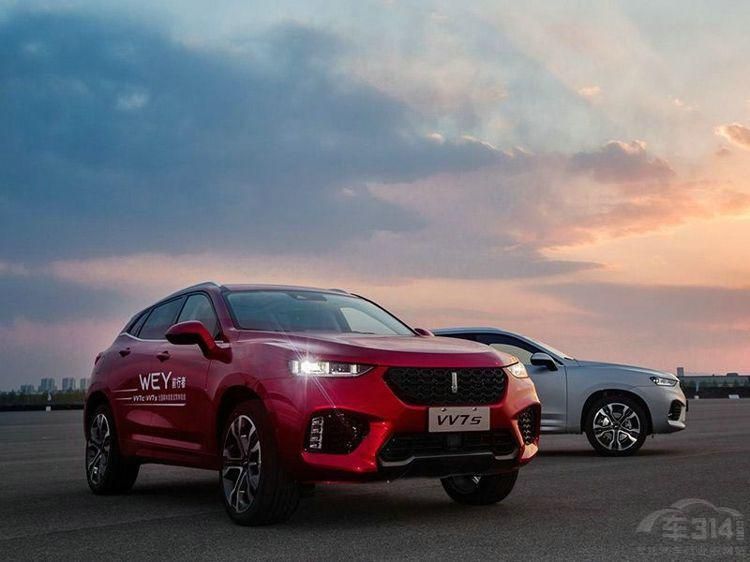 ���������г� WEY�����ʵ�����������