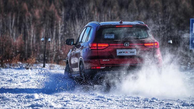 ����ý�������