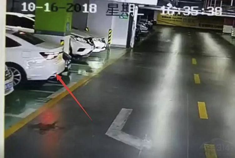 ���˲��ĵ�Ů˾����2018�궼����Щʲô��