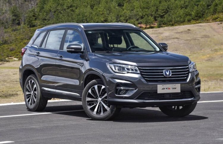 �����Լݻؼ�������ʵ�� ��ֻѡ����CS75