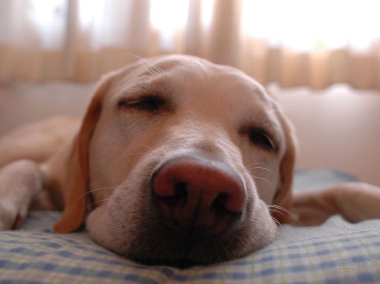 ���ڿ����ؼ� ����·�ϲ������ıر�����