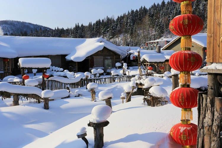 ѩ���������ж�ڣ������Լ���ǧ���ȥ