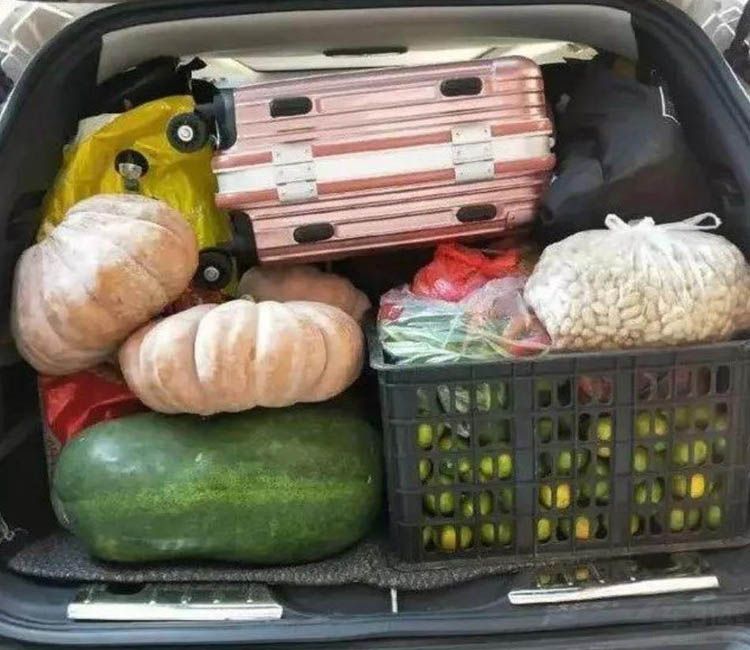 春节返程 后备厢里别再塞满了 开车太危险 春节返程 后备厢里别再塞满了 开车太危险