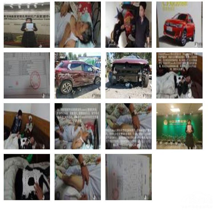 ѩ����C3-XR��ɲ��ס�� �������������