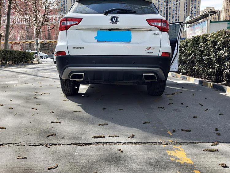 二手车贩子眼光毒?揭秘转两圈就知车况 二手车贩子眼光毒?揭秘转两圈就知车况