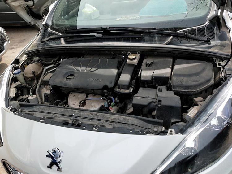 只有事故没有故事!揭秘“美女一手代步车” 只有事故没有故事!揭秘“美女一手代步车”