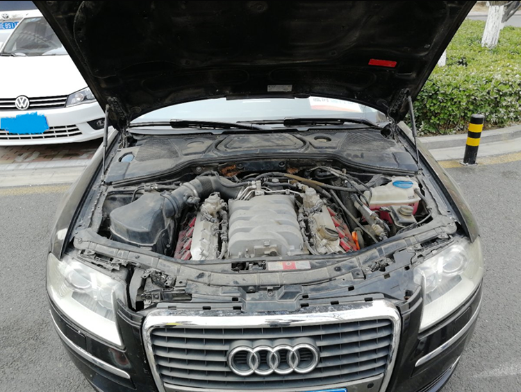 ������µ�A8 ��ʮ�������Ҷ�����