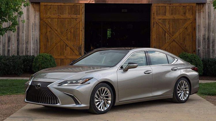 2019�����ɿ�����ߵ�ʮ��Ʒ��MINI�ϰ�