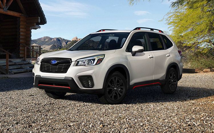 2019ʮ�ѳ��ͳ�¯������һ���ڹ�������