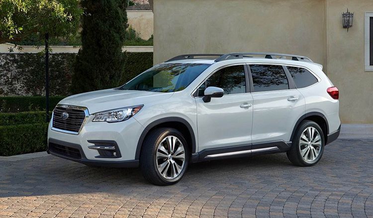 2019ʮ�ѳ��ͳ�¯������һ���ڹ�������