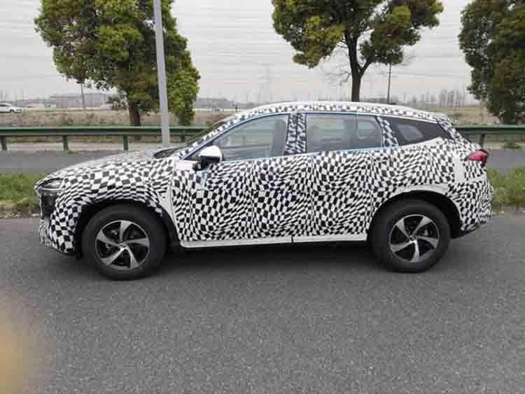 �ڲ�����ΪA16 ��̩"���廯"�³������ع�