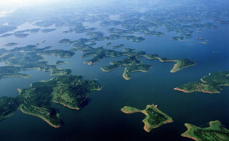 ǧ�����˹��⡪��520��μ�һ��ȥ����ʾ�����������ƴ���