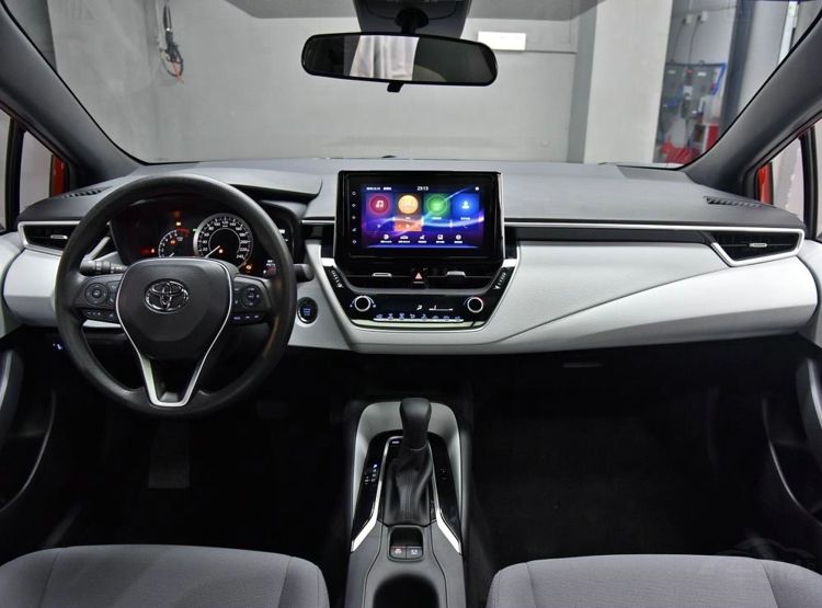 5����������ѡ������ 5�����������������