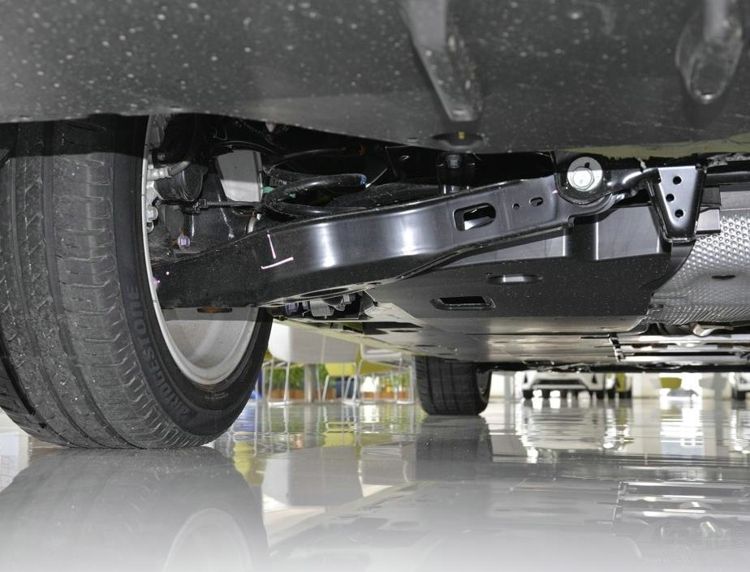 5����������ѡ������ 5�����������������