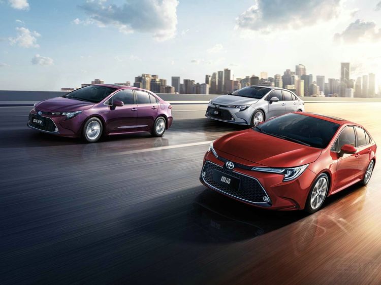 5����������ѡ������ 5�����������������