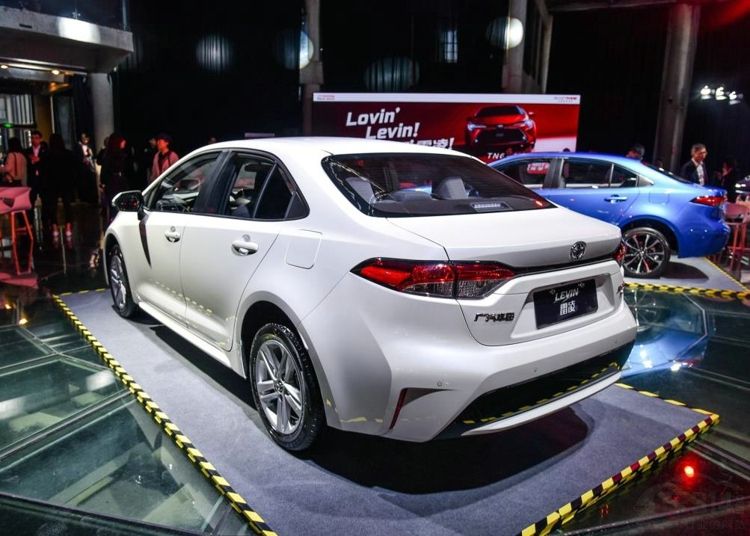 5����������ѡ������ 5�����������������