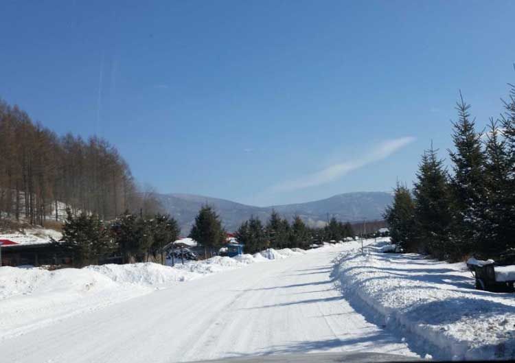 ��������ԽҰ������ר�� �������֪����